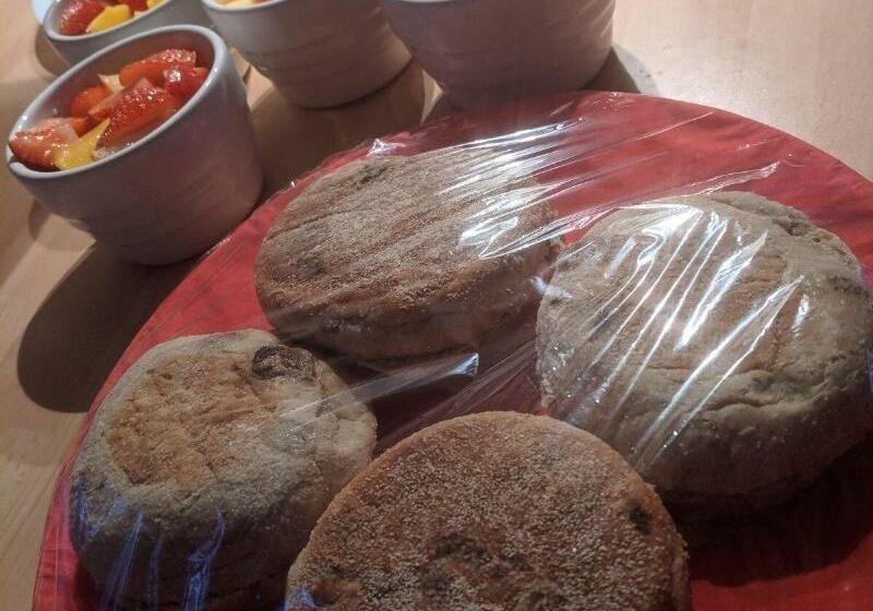 פנסיון Cribyn Lodge