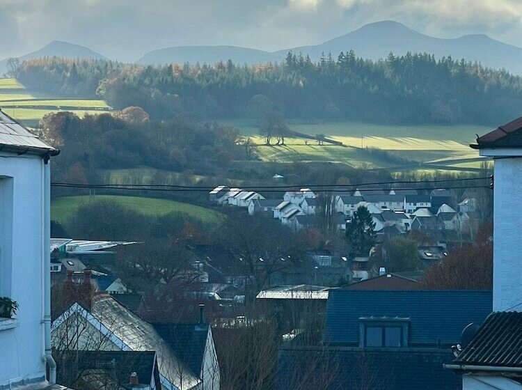 פנסיון Cribyn Lodge