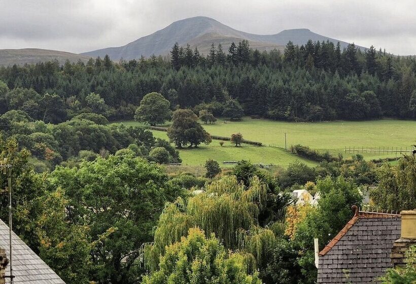 פנסיון Cribyn Lodge