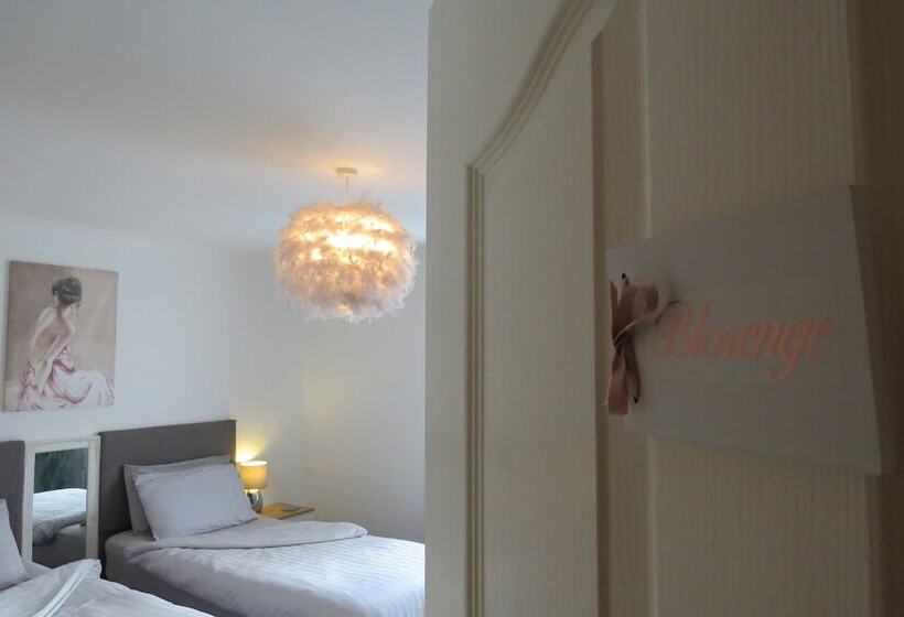 פנסיון Cribyn Lodge