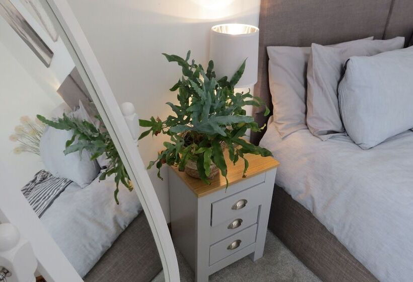 פנסיון Cribyn Lodge