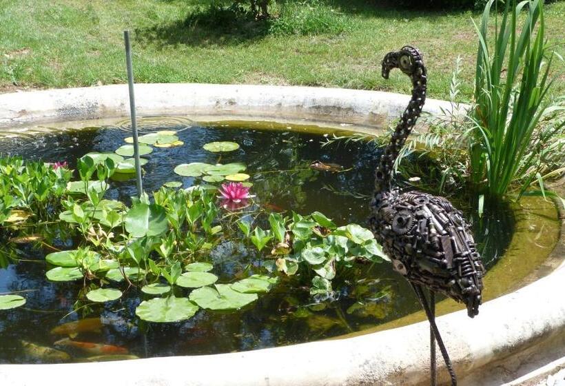 פנסיון Domaine Du Vern