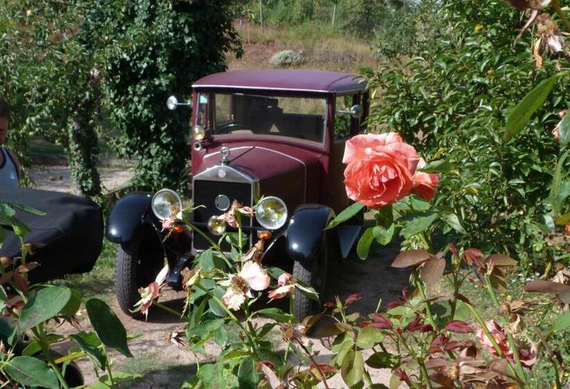 פנסיון Domaine Du Vern