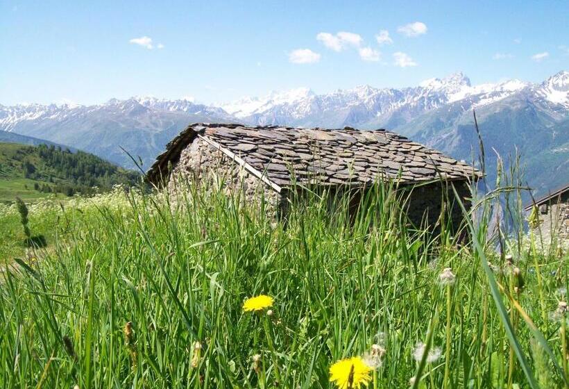 פנסיון Gîte Le Shantoné