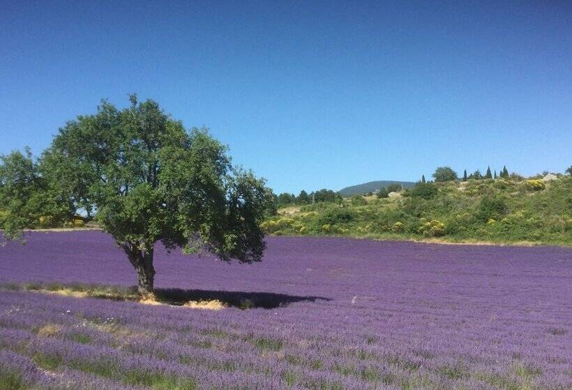 بنسيون Le Jardin De Lau