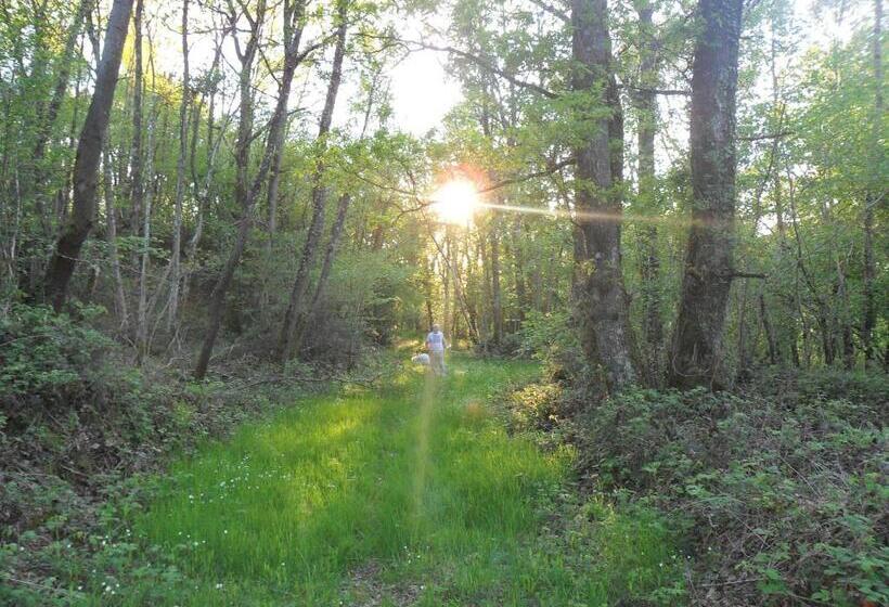 膳宿费 Les Hautes Loignieres