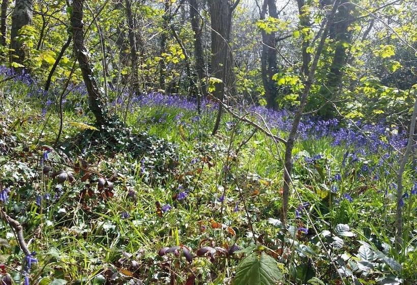 Пансион Mandeley Guest House