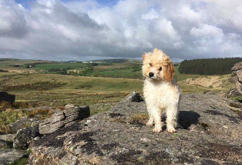 ペンション The Cherrybrook