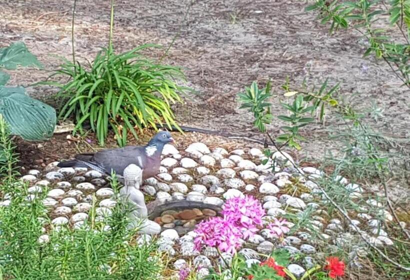 بنسيون Villa Akwaba