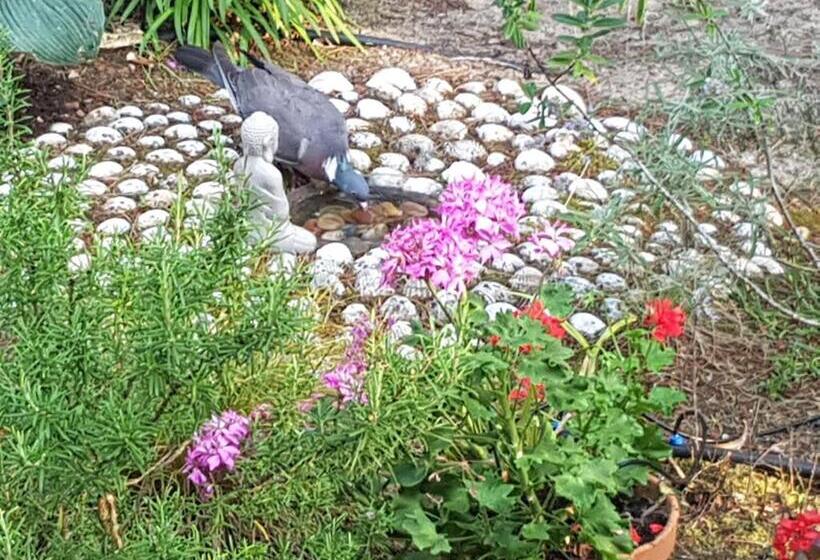 بنسيون Villa Akwaba