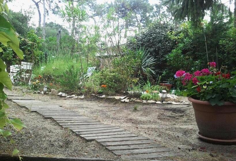 بنسيون Villa Akwaba