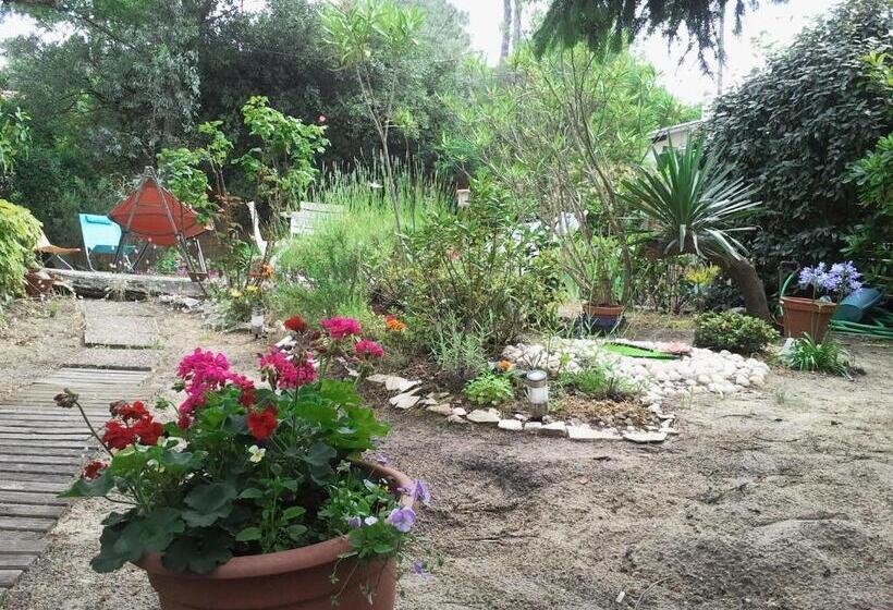 بنسيون Villa Akwaba