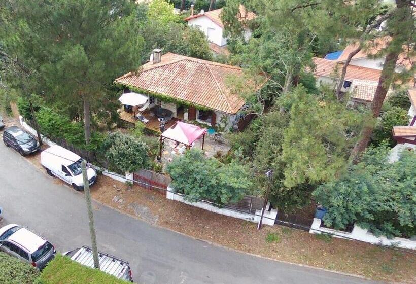 بنسيون Villa Akwaba