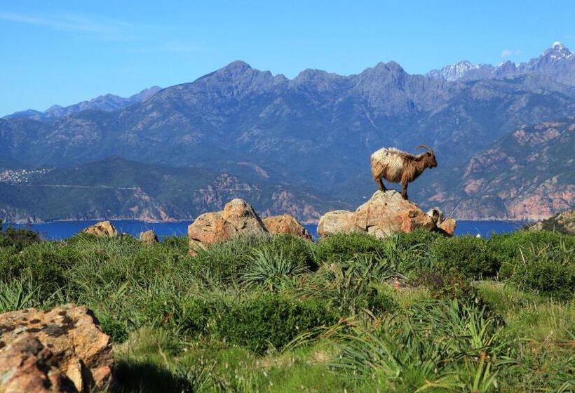 Residenza L 'alivetu