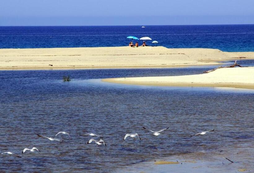 Residenza L 'alivetu