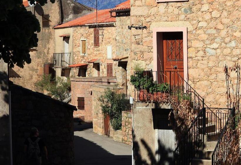 Residenza L 'alivetu