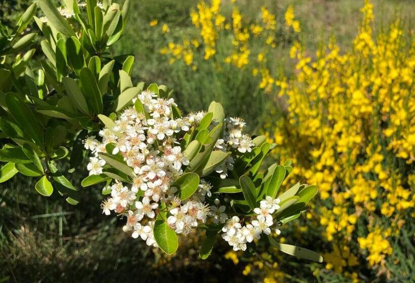 Studi Hôtel Résidence Plein Voile