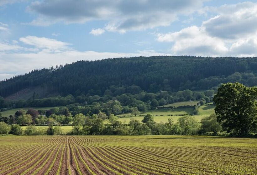 בית מלון כפרי Hardwick Farm