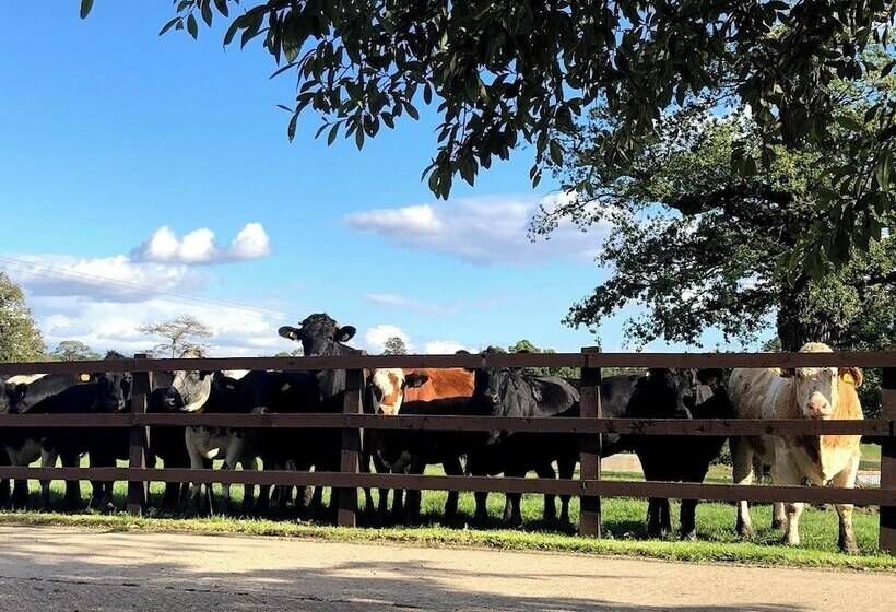 בית מלון כפרי Moo Cow Cottage Self Catering