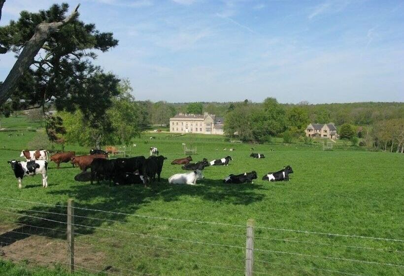 בית מלון כפרי Moo Cow Cottage Self Catering