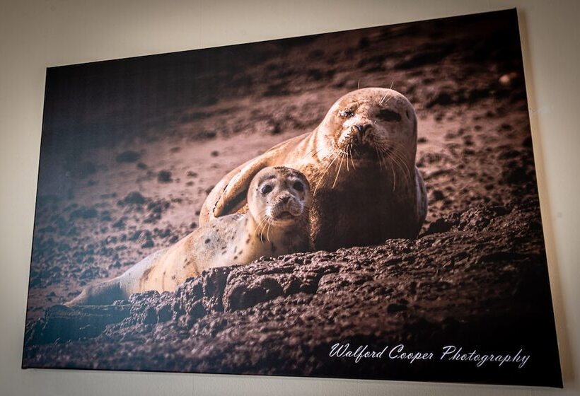 פנסיון Aarondale Guest House