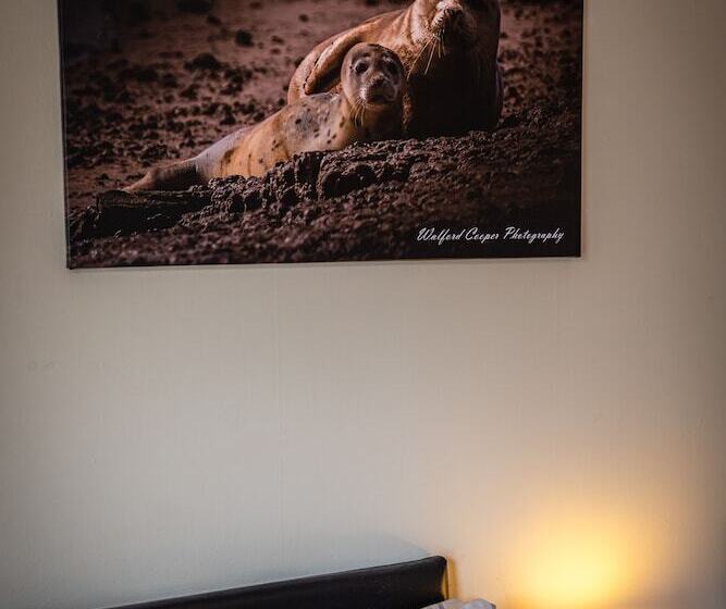 פנסיון Aarondale Guest House