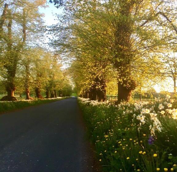 بنسيون The Garden Suites At Snape Castle Mews