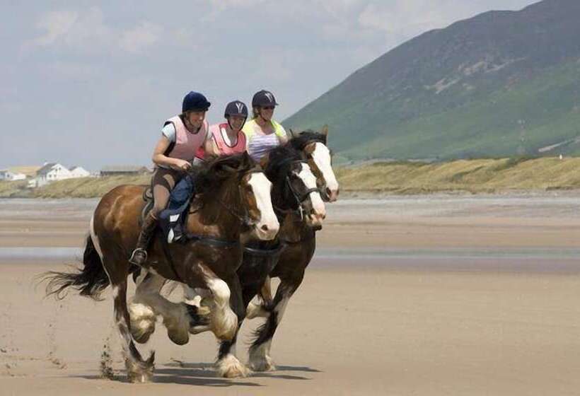 Общежитие Herdwicks