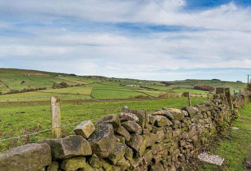 הוסטל The Alma Inn