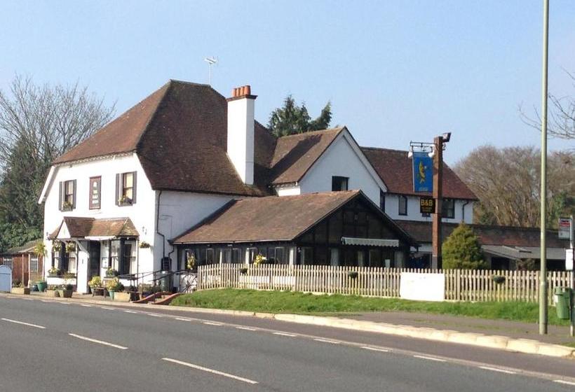 ユースホステル The Half Moon