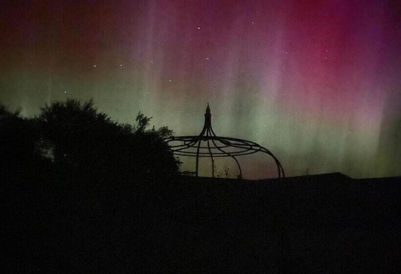 Пансион Forse Of Nature