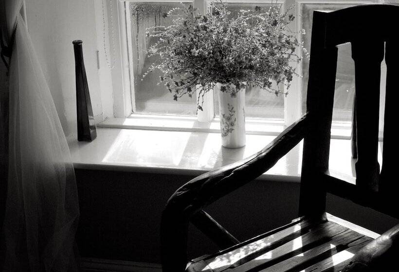 بنسيون The Haven