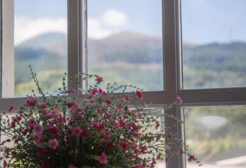 بنسيون The Haven