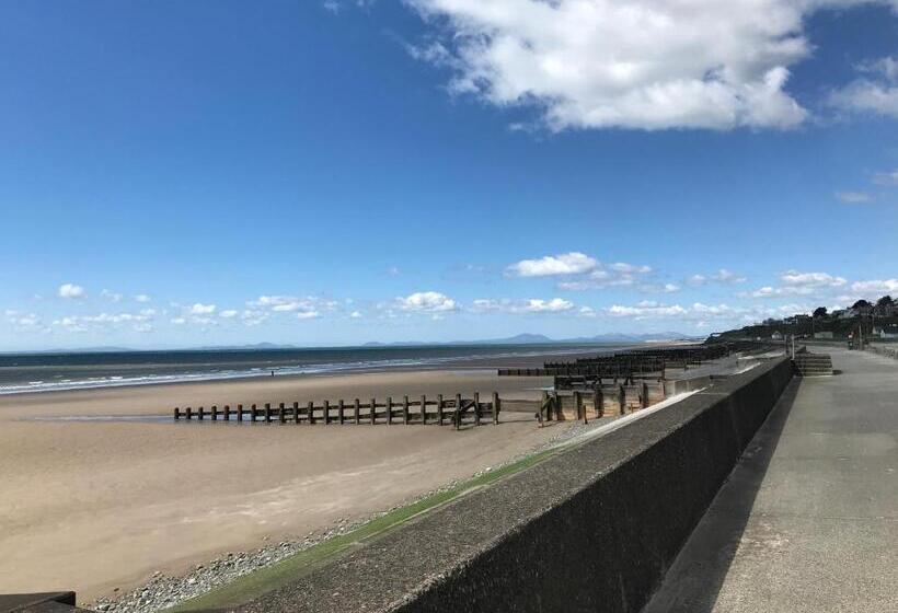 بنسيون The Sandpiper