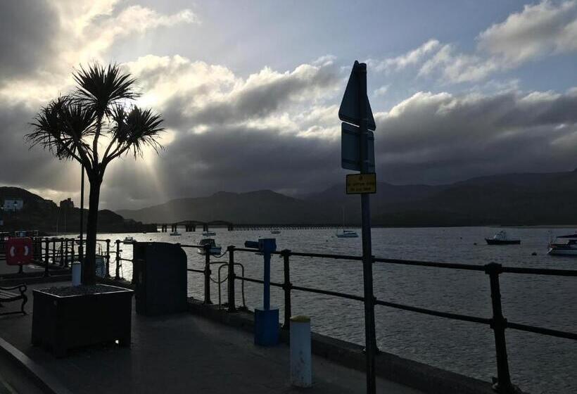 بنسيون The Sandpiper