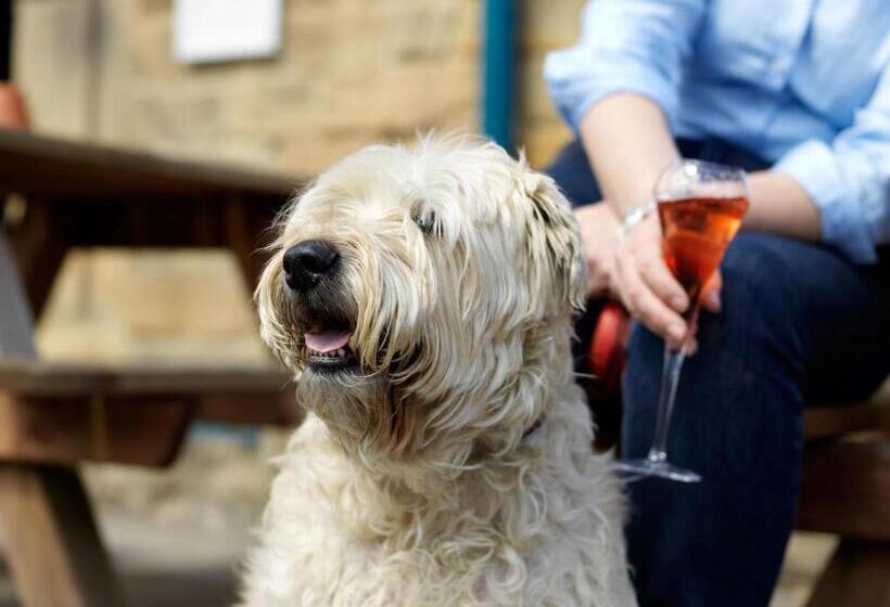 Общежитие Devonshire Arms At Pilsley Chatsworth