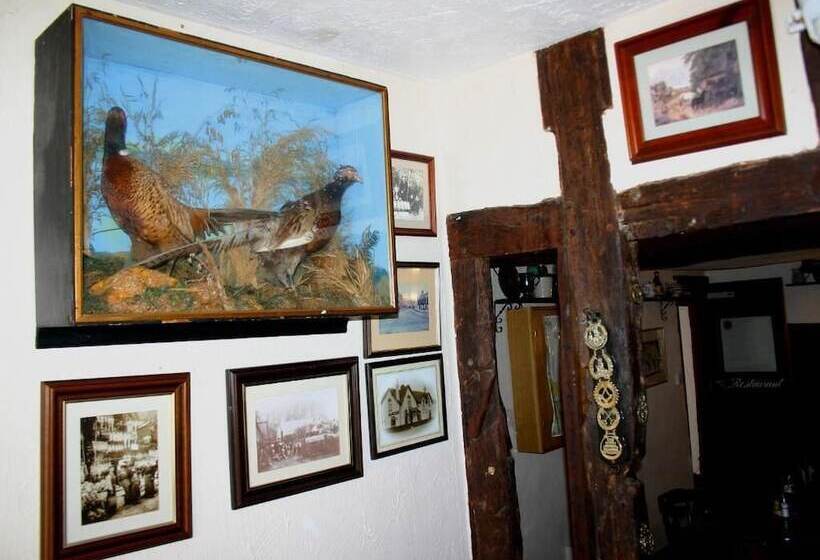 Общежитие Farmhouse Inn