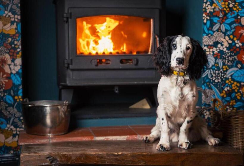 ユースホステル George And Dragon