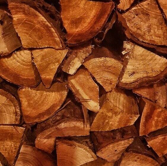 호스텔 Jacobs Ladder Inn