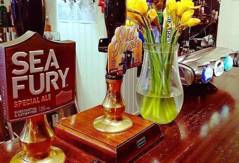 호스텔 Jacobs Ladder Inn