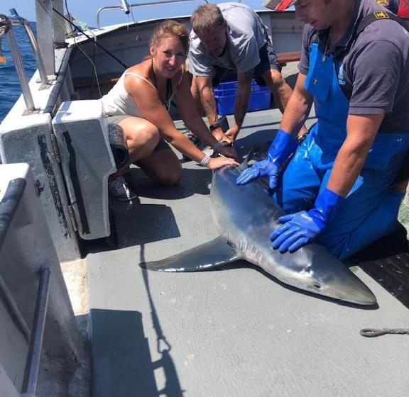 הוסטל Jolly Sailor Inn