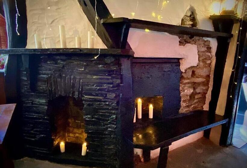 הוסטל Jolly Sailor Inn