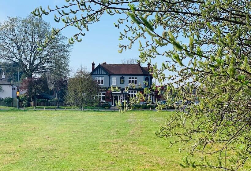 旅馆 José Pizarro The Swan Inn