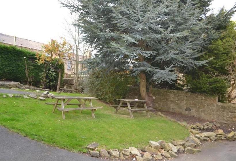 호스텔 Oak Tree Inn