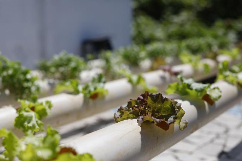 ユースホステル Pousada Sette Mares