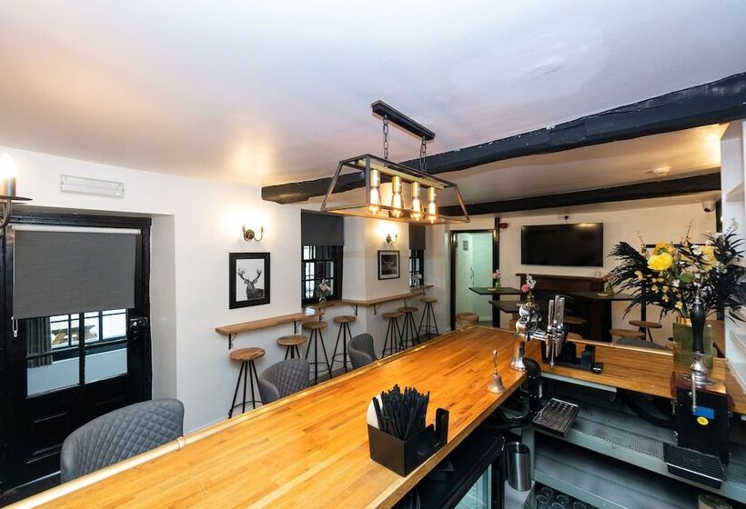 Общежитие The Ancient Unicorn