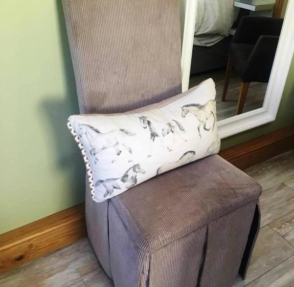 호스텔 The Black Horse At Ireland