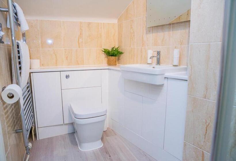 فندق صغير The Black Swan Inn