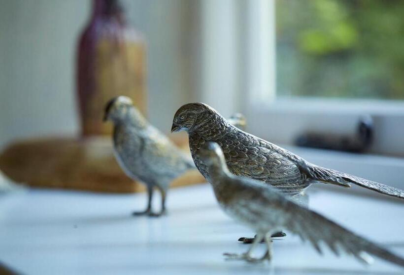 فندق صغير The Royal Oak