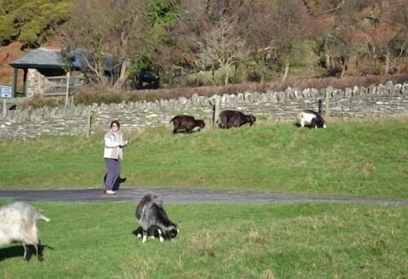 旅馆 The Sandrock Lynton